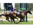  Carrera: P.Corpa  Caballo: The Game Monta: R.Sousa